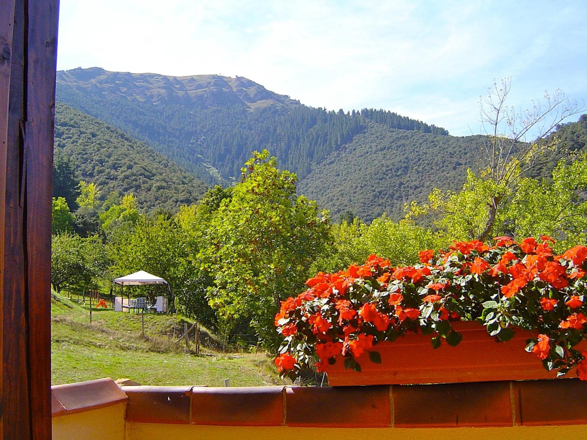 Posada El Bosque Mieses Extérieur photo